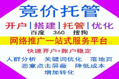 SEM代理实战：成功案例分享与经验总结